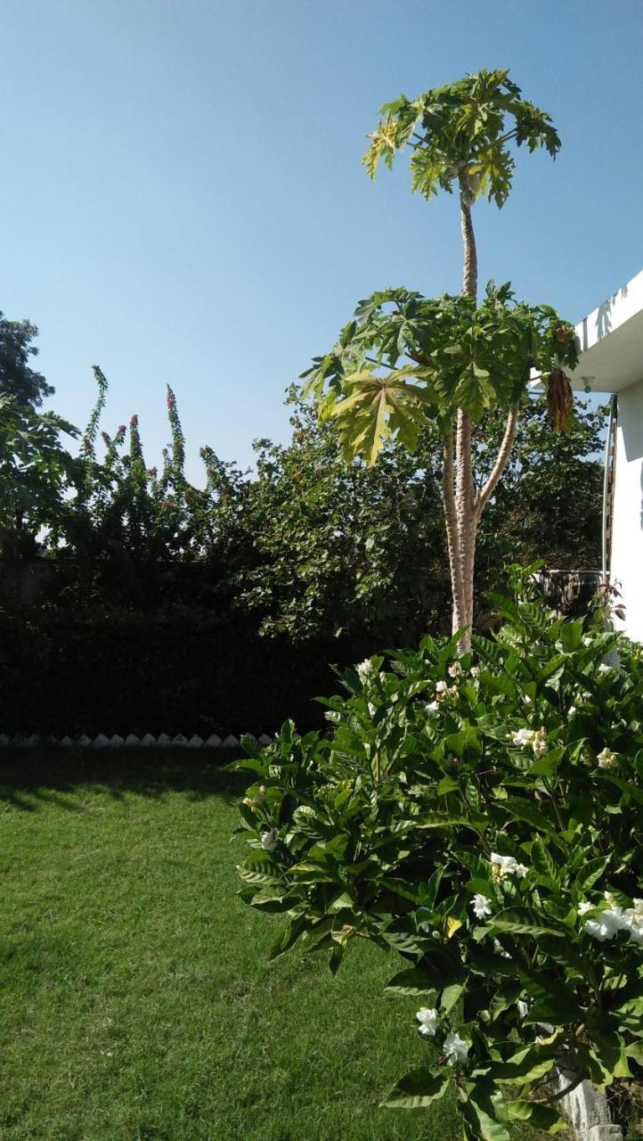 Prem Home Stay Khajurāho Buitenkant foto